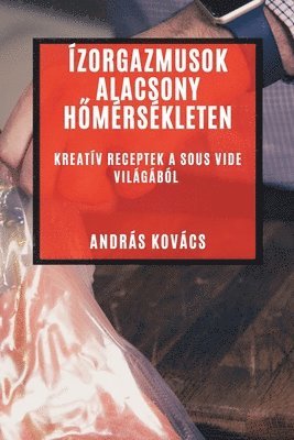András Kovács - Ízorgazmusok Alacsony Hőmérsékleten, Häftad