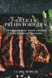 bokomslag Délices Préhistoriques