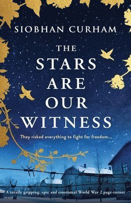 bokomslag Stars Are Our Witness