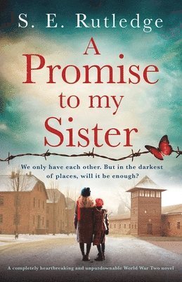 A Promise to My Sister 1