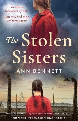 bokomslag The Stolen Sisters