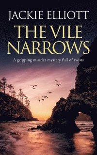 bokomslag THE VILE NARROWS a gripping murder mystery full of twists