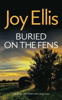 bokomslag BURIED ON THE FENS a gripping crime thriller with a huge twist