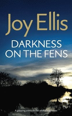 bokomslag DARKNESS ON THE FENS a gripping crime thriller with a huge twist