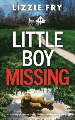 Little Boy Missing 1