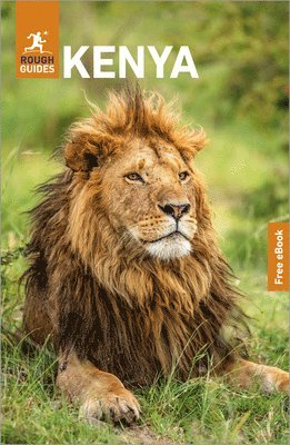 Rough Guides Kenya: Travel Guide with eBook