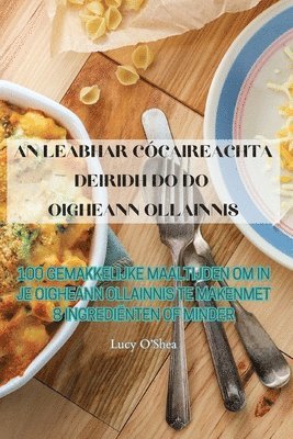 bokomslag An Leabhar Ccaireachta Deiridh Do Do Oigheann Ollainnis