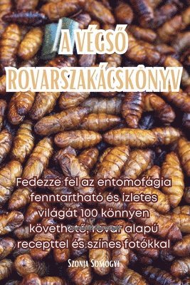 bokomslag A Vgs&#336; Rovarszakcsknyv