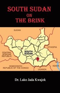 bokomslag South Sudan On The Brink