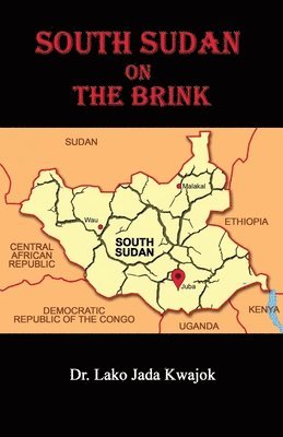 bokomslag South Sudan On The Brink