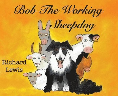 BOB the Working sheep dog!