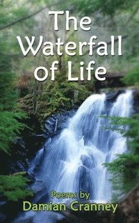bokomslag Waterfall of Life