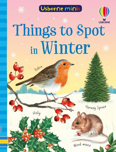 Simon Tudhope - Things to Spot in Winter, Häftad