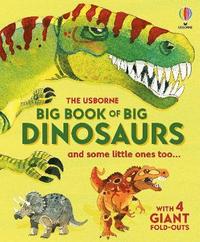 bokomslag Big Book of Big Dinosaurs