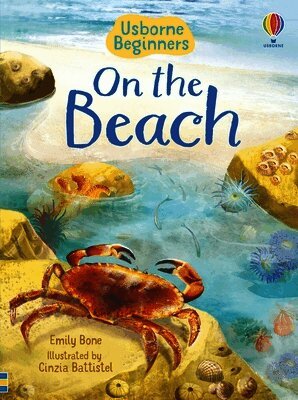 Emily Bone - On the Beach, Häftad