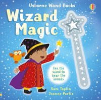bokomslag Wand Books: Wizard Magic