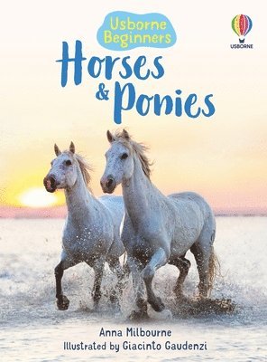 Anna Milbourne - Horses and Ponies (Usborne Beginners), Häftad