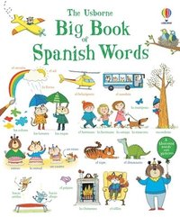 bokomslag Big Book of Spanish Words