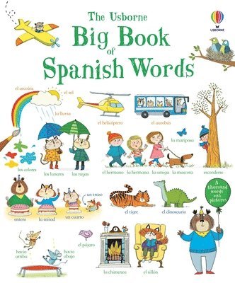 bokomslag Big Book of Spanish Words