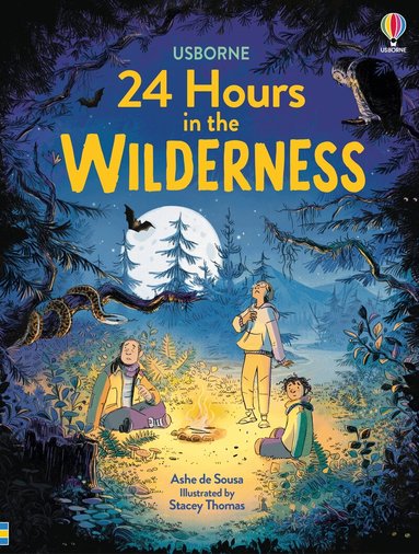 Ashe de Sousa - 24 Hours in the Wilderness, Inbunden