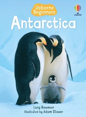 bokomslag Antarctica