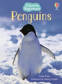 bokomslag Penguins