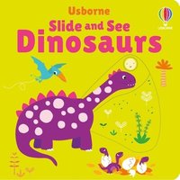 bokomslag Slide and See Dinosaurs