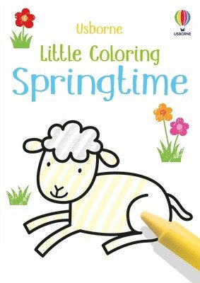 Matthew Oldham - Little Coloring Springtime, Häftad