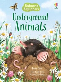 bokomslag Underground Animals