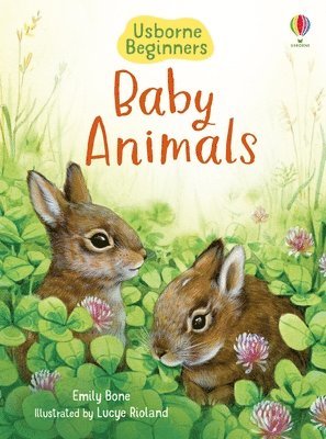 Baby Animals 1