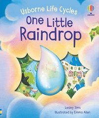 bokomslag One Little Raindrop