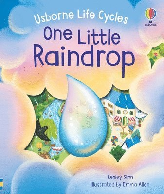 bokomslag One Little Raindrop
