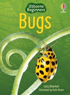 Bugs 1