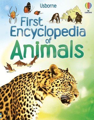 bokomslag First Encyclopedia of Animals