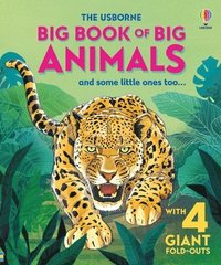 bokomslag Big Book of Big Animals