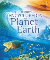bokomslag Usborne Encyclopedia of Planet Earth