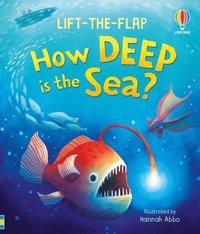 bokomslag Very First Questions and Answers: How deep is the sea?