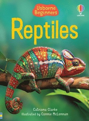 bokomslag Reptiles