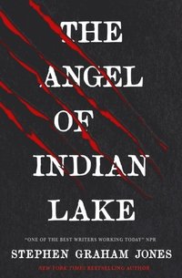 bokomslag The Angel of Indian Lake