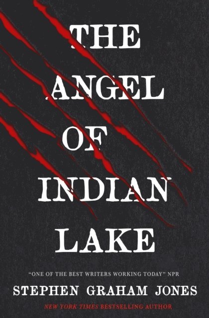 The Angel of Indian Lake 1