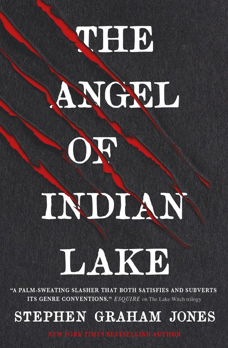 The Angel of Indian Lake 1