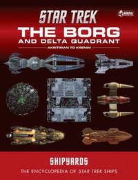 bokomslag Star Trek Shipyards: The Borg and the Delta Quadrant Vol. 1 - Akritirian to Kren im