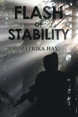 Flash of Stability 1