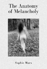 bokomslag Anatomy of Melancholy