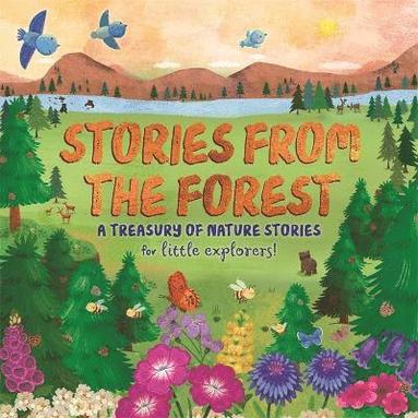 bokomslag Stories from the Forest