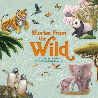 bokomslag Stories From The Wild