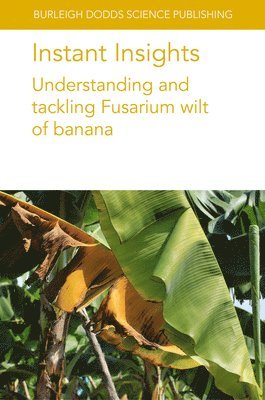 bokomslag Instant Insights: Understanding and Tackling Fusarium Wilt of Banana