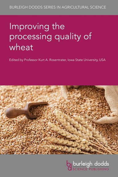 Kurt A. Rosentrater - Improving the Processing Quality of Wheat, Inbunden