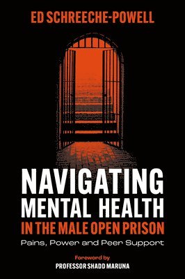 bokomslag Navigating Mental Health in the Male Open Prison