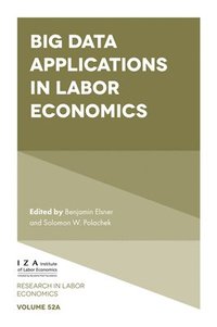 bokomslag Big Data Applications in Labor Economics